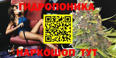 мдпв Гусь-Хрустальный
