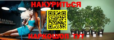 мдпв Гусь-Хрустальный