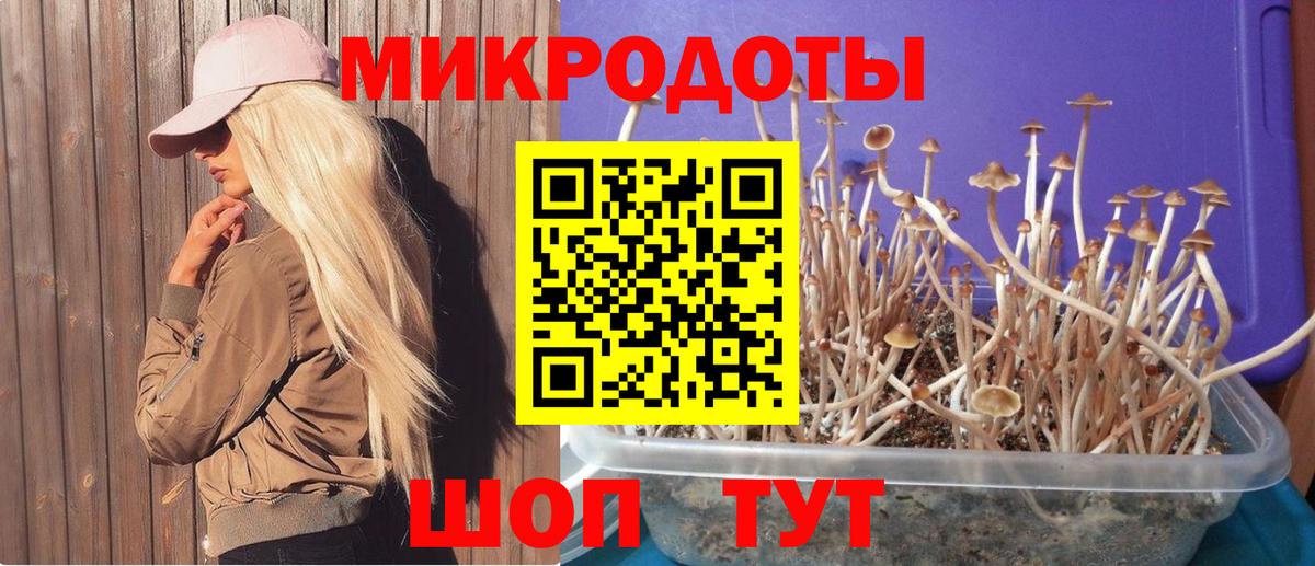 Галлюциногенные грибы Psilocybe  Галлюциногенные грибы Psilocybine cubensis  Вход с VPN  Мыски 